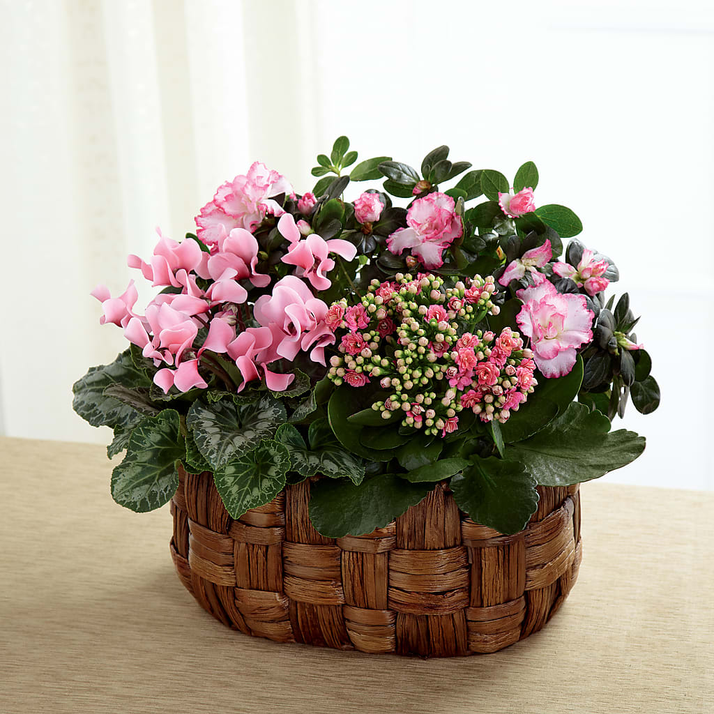 Pink Assortment – Rimmon Heights Florist, Manchester NH