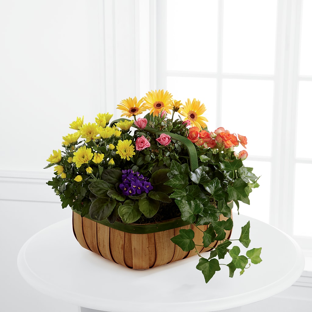 Gentle Blossoms Basket – Rimmon Heights Florist, Manchester NH