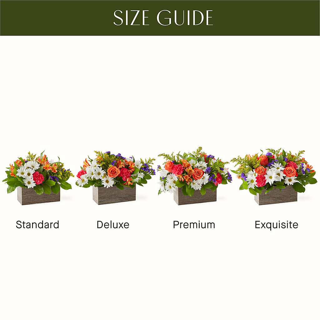Oopsie Daisy Box Bouquet – Rimmon Heights Florist, Manchester NH