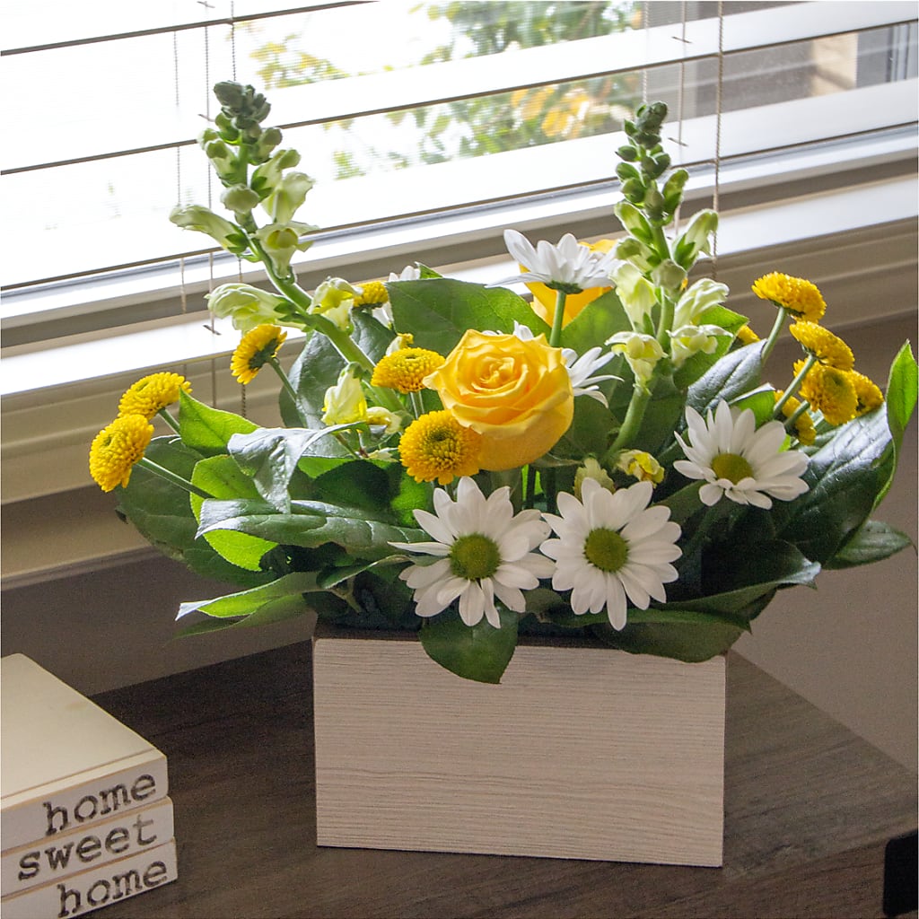 Sun Salutation Box Bouquet – Rimmon Heights Florist, Manchester NH