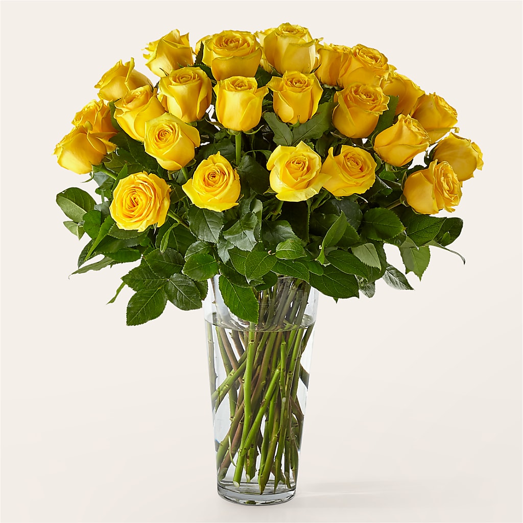 Long Stem Yellow Rose Bouquet – Rimmon Heights Florist, Manchester NH