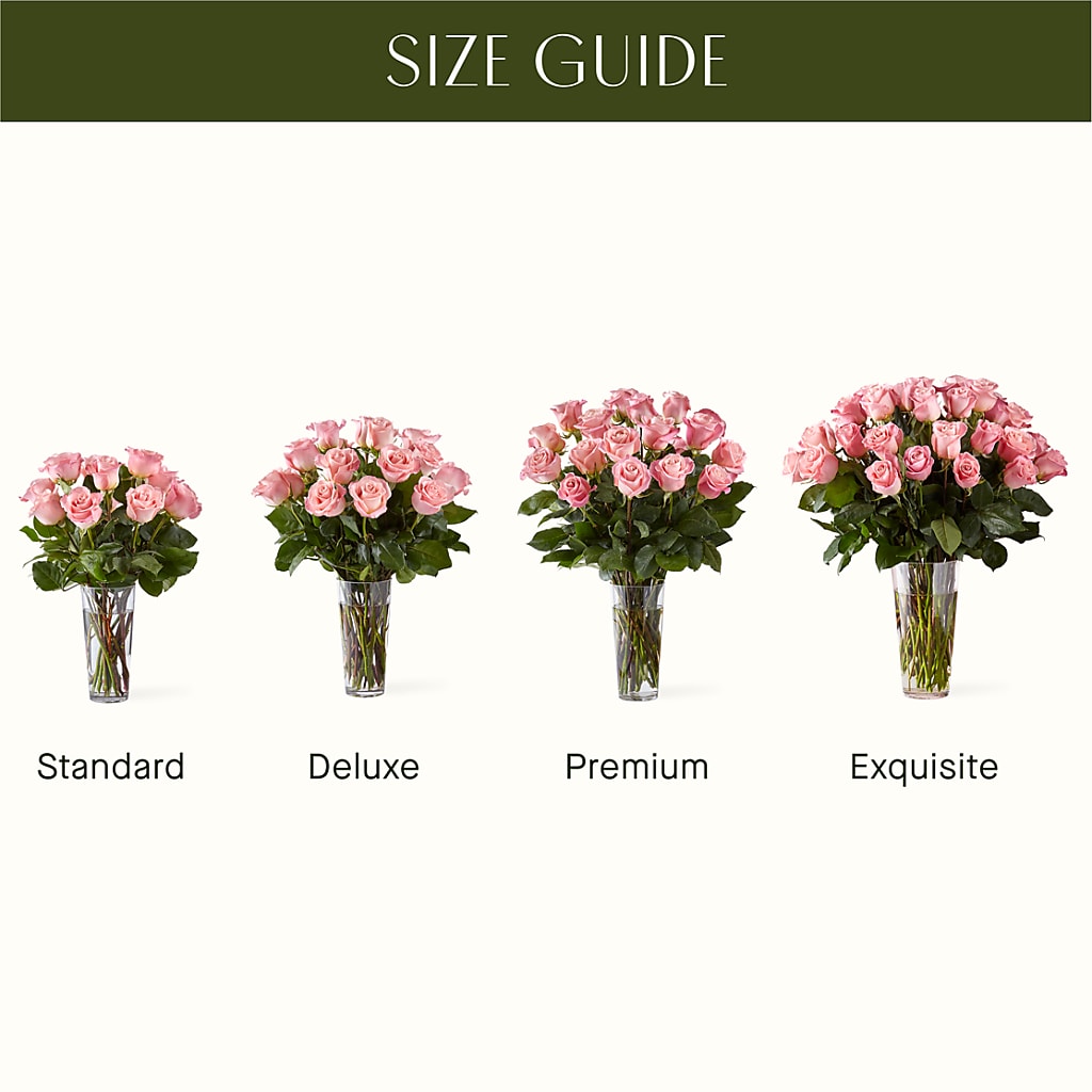 Long Stem Pink Rose Bouquet – Rimmon Heights Florist, Manchester NH