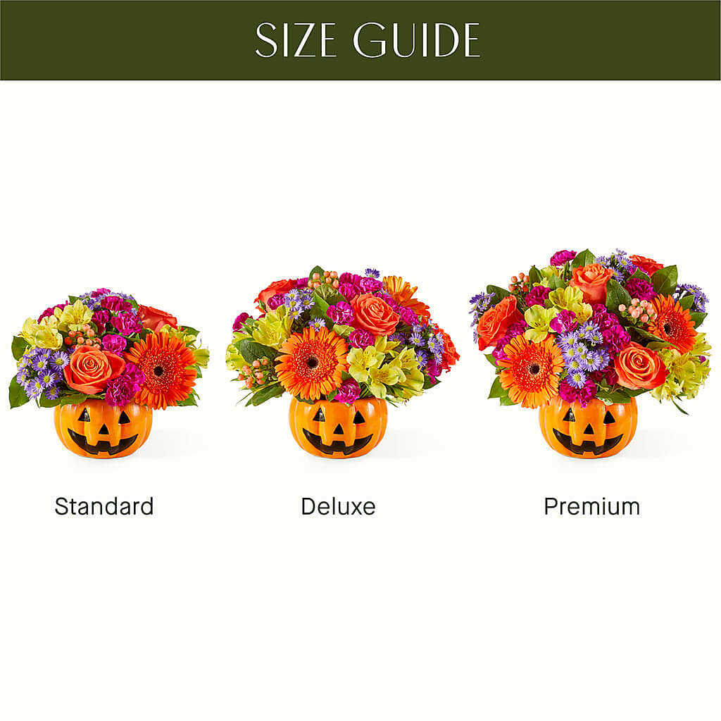 Tricks & Treats Pumpkin – Rimmon Heights Florist, Manchester NH