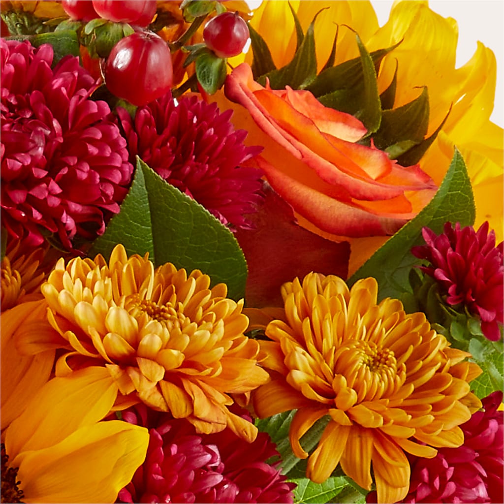 Sweater Season - A Florist Original – Rimmon Heights Florist, Manchester NH
