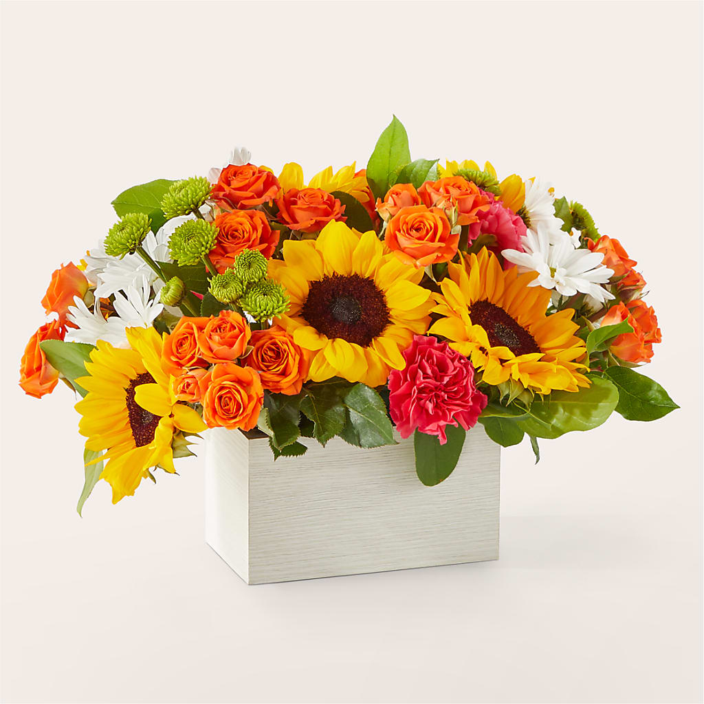 Sun-drenched Blooms Box Bouquet – Rimmon Heights Florist, Manchester NH
