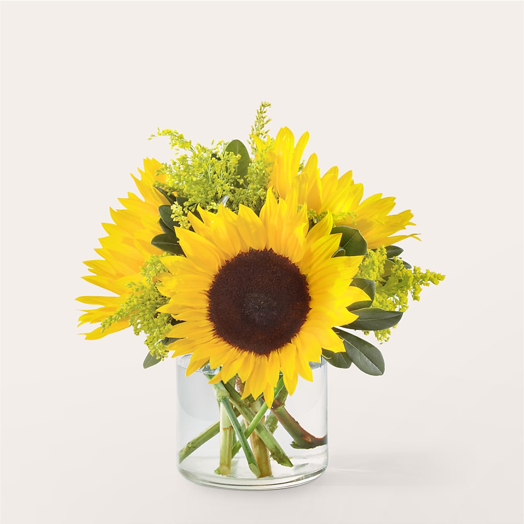 Beaming Sunflower Bouquet – Rimmon Heights Florist, Manchester NH
