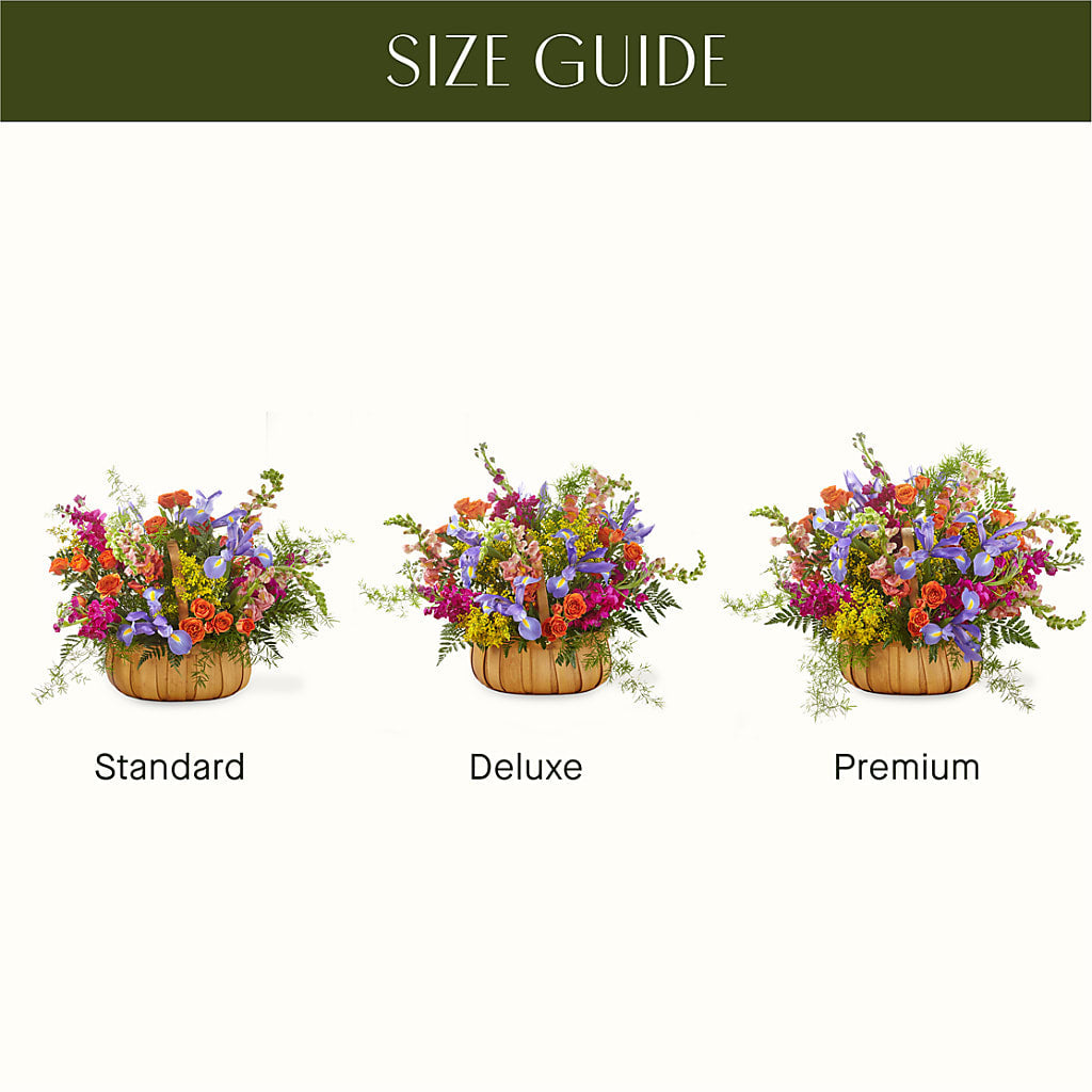 Garden of Life Basket – Rimmon Heights Florist, Manchester NH