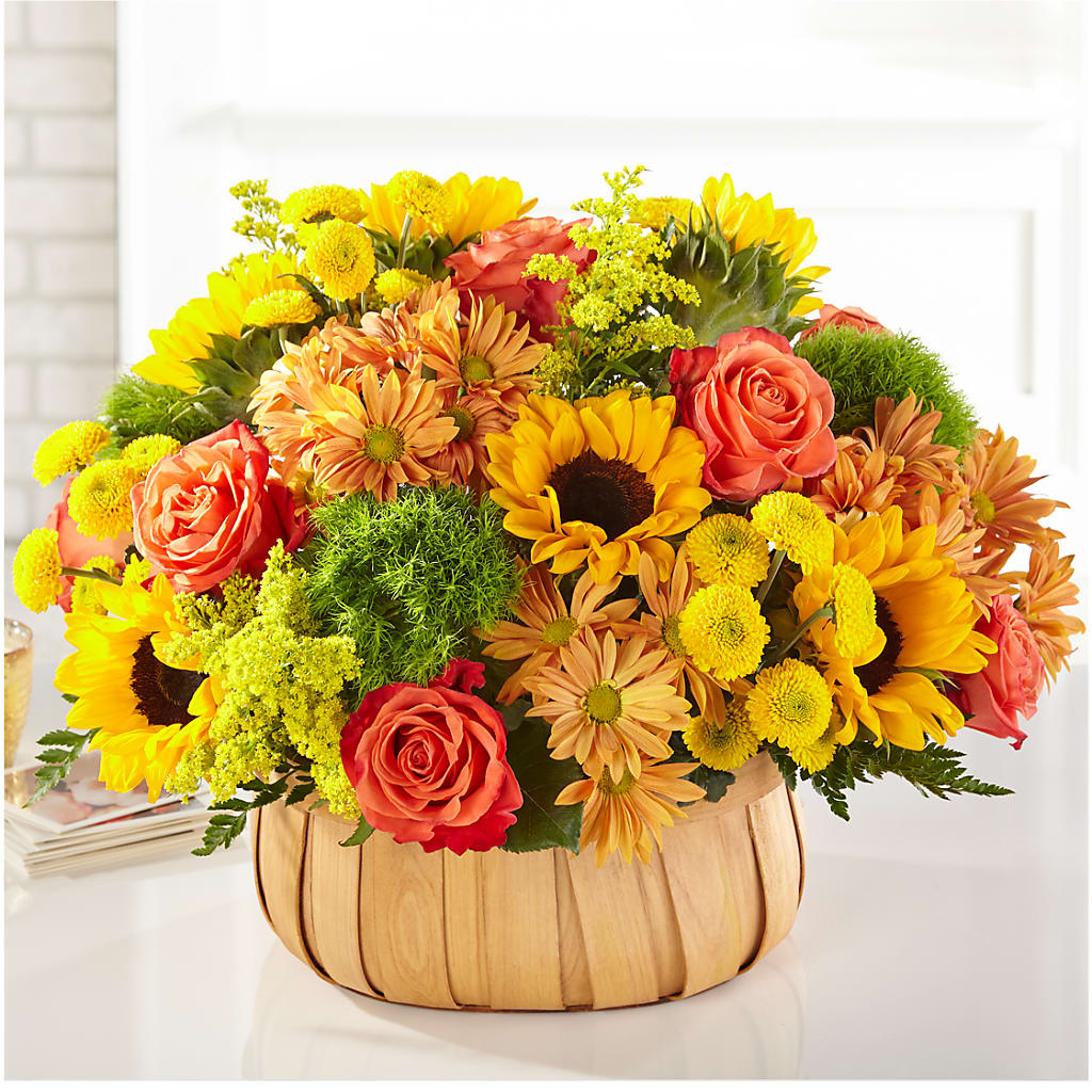 Harvest Sunflower Basket – Rimmon Heights Florist, Manchester NH