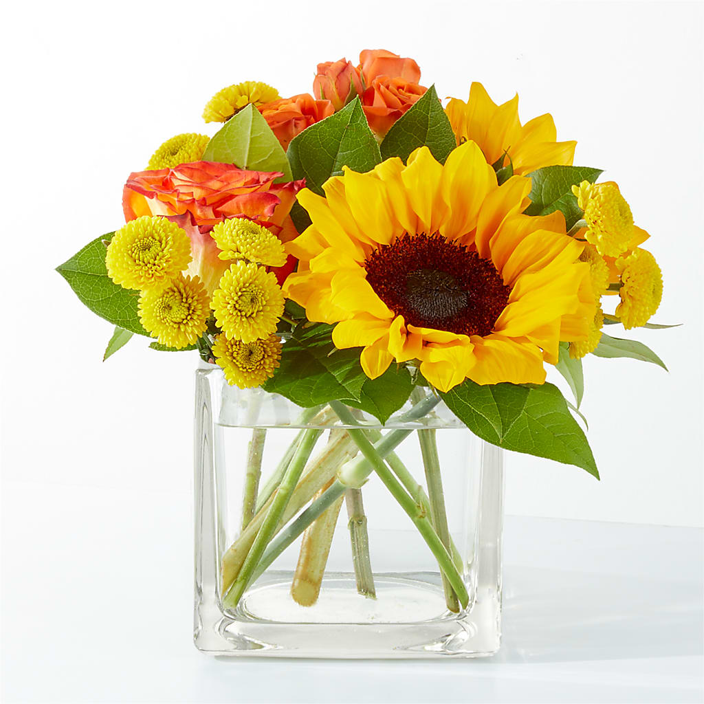 Picnic in the Park Bouquet – Rimmon Heights Florist, Manchester NH