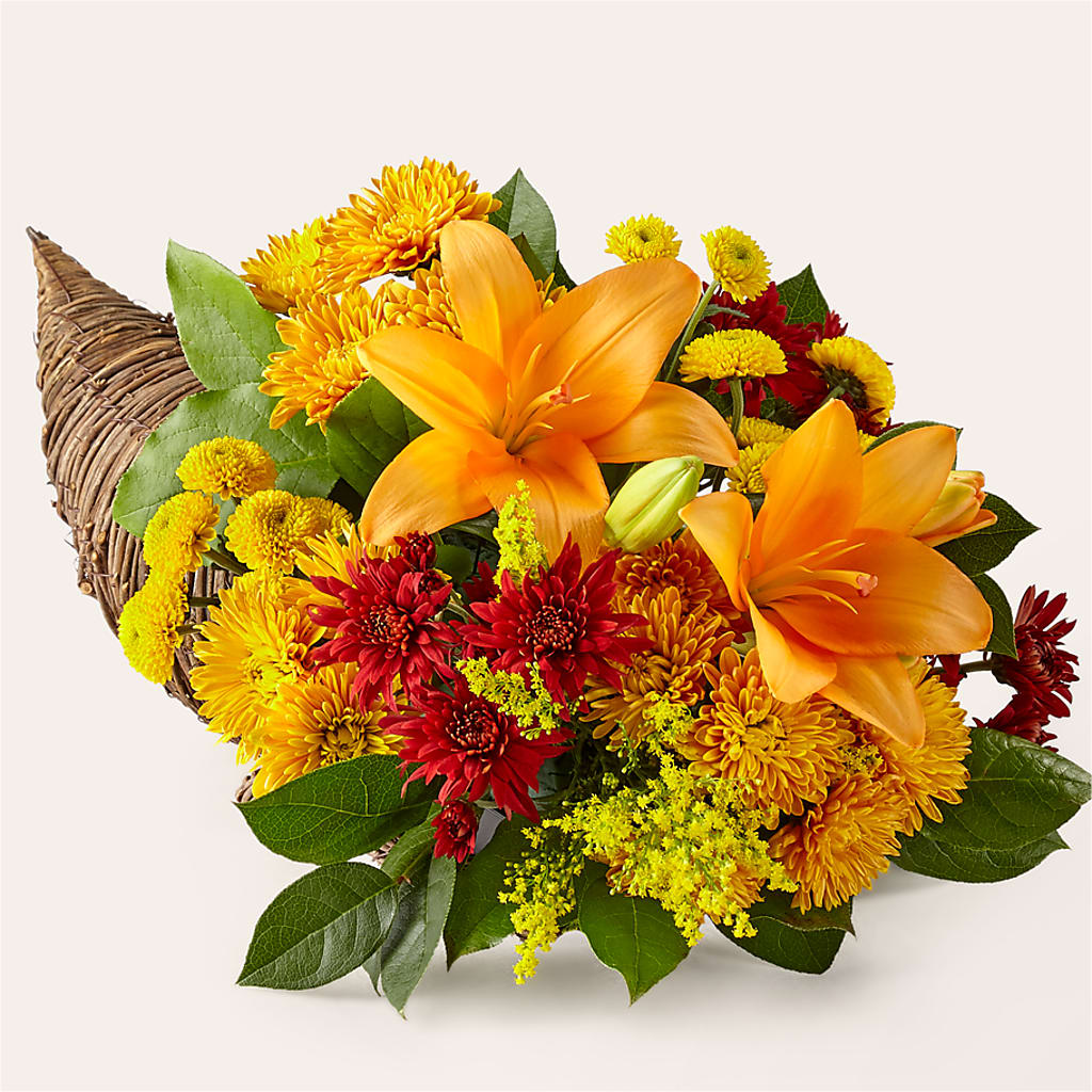 Feast of Color Cornucopia – Rimmon Heights Florist, Manchester NH