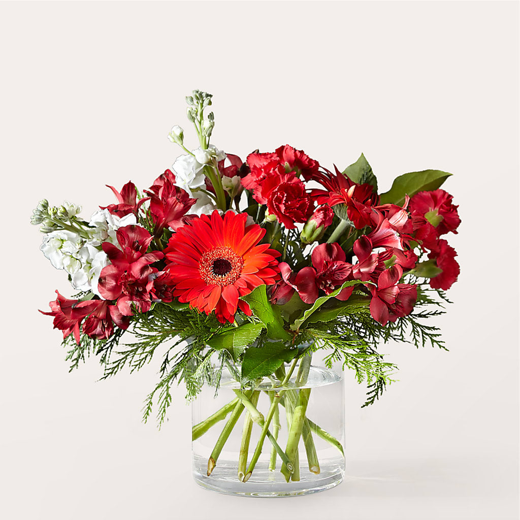 Holidaisy Bouquet – Rimmon Heights Florist, Manchester NH