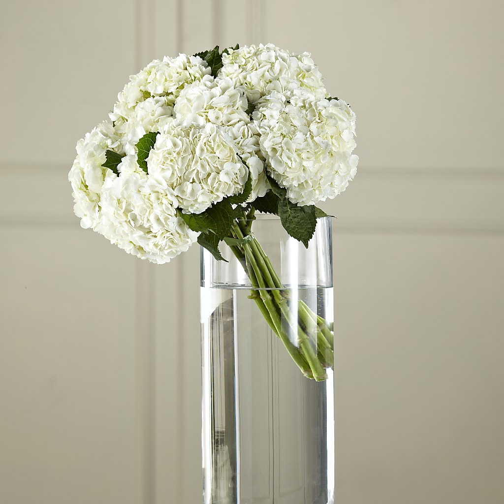 White Hydrangea Hand-Tied Bouquet – Rimmon Heights Florist, Manchester NH