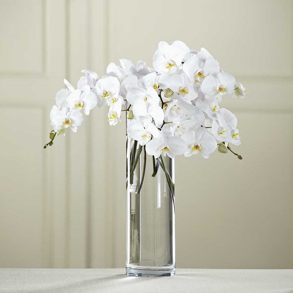 White Phalaenopsis Bouquet – Rimmon Heights Florist, Manchester NH