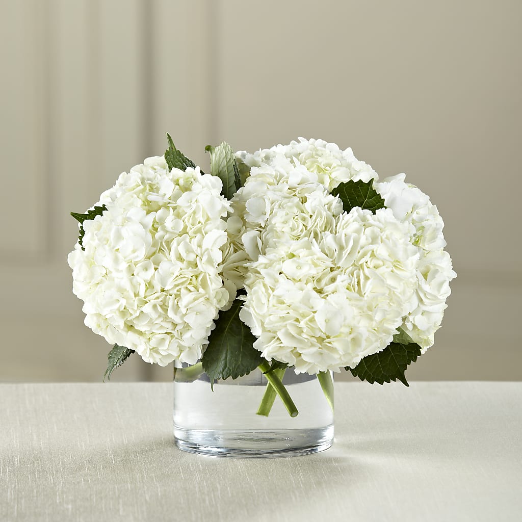White Hydrangea Bouquet – Rimmon Heights Florist, Manchester NH