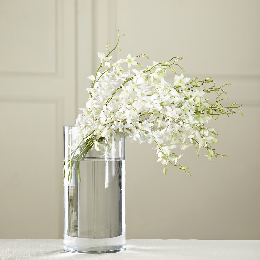 White Dendrobium Bouquet – Rimmon Heights Florist, Manchester NH