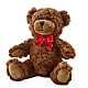 Adorable Plush Bear –  Rimmon Heights Florist, Manchester NH