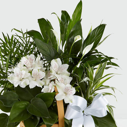Peace & Serenity Dishgarden –  Rimmon Heights Florist, Manchester NH