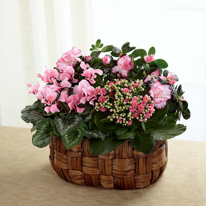 Pink Assortment –  Rimmon Heights Florist, Manchester NH