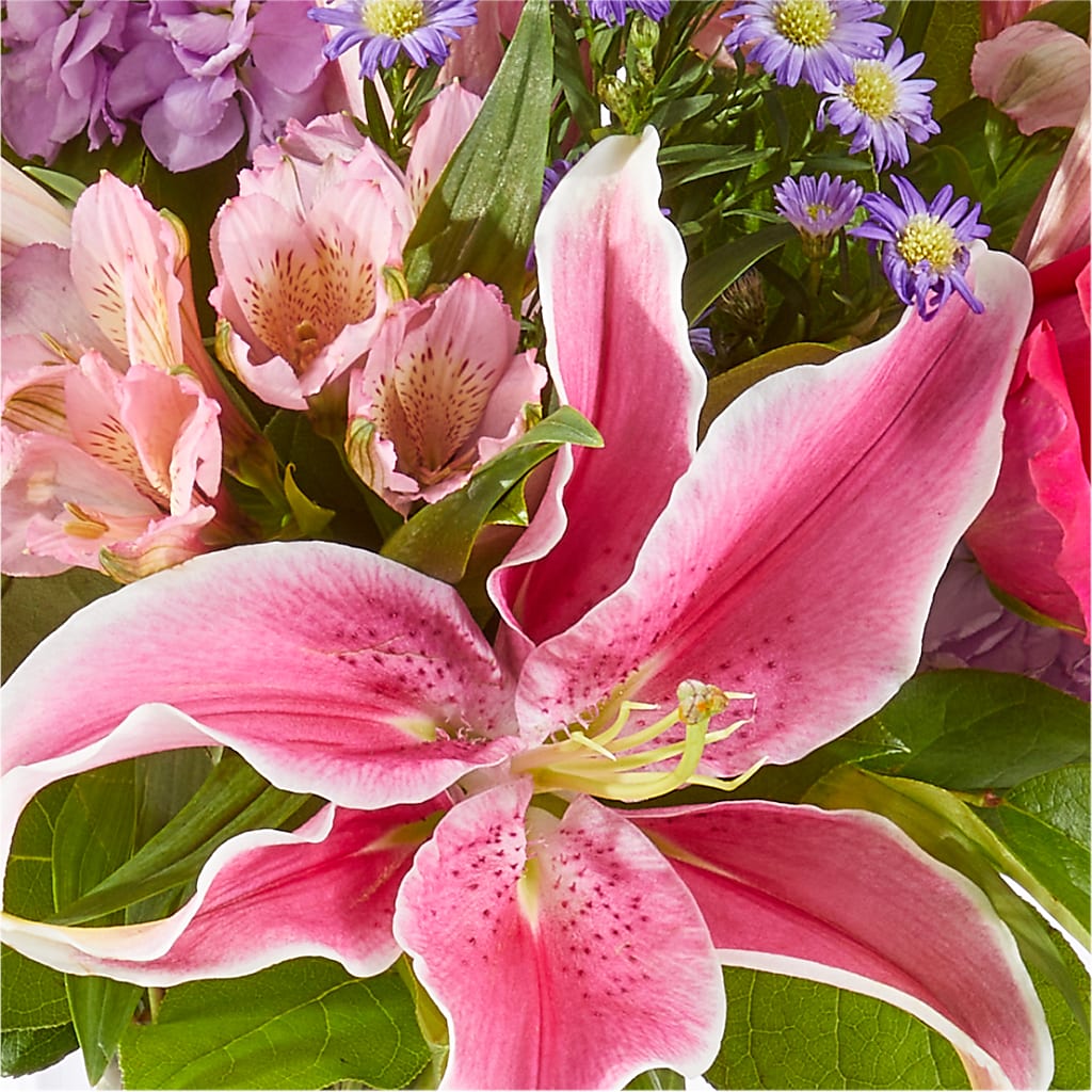 Written in the Stars Bouquet –  Rimmon Heights Florist, Manchester NH