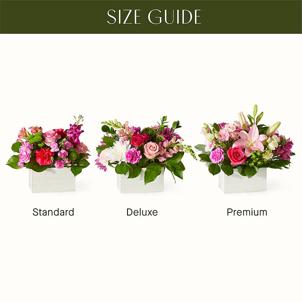 Sweetberry Box – A Florist Original –  Rimmon Heights Florist, Manchester NH