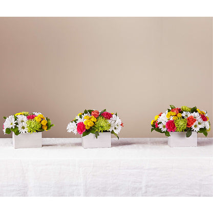 Sorbet Bouquet –  Rimmon Heights Florist, Manchester NH