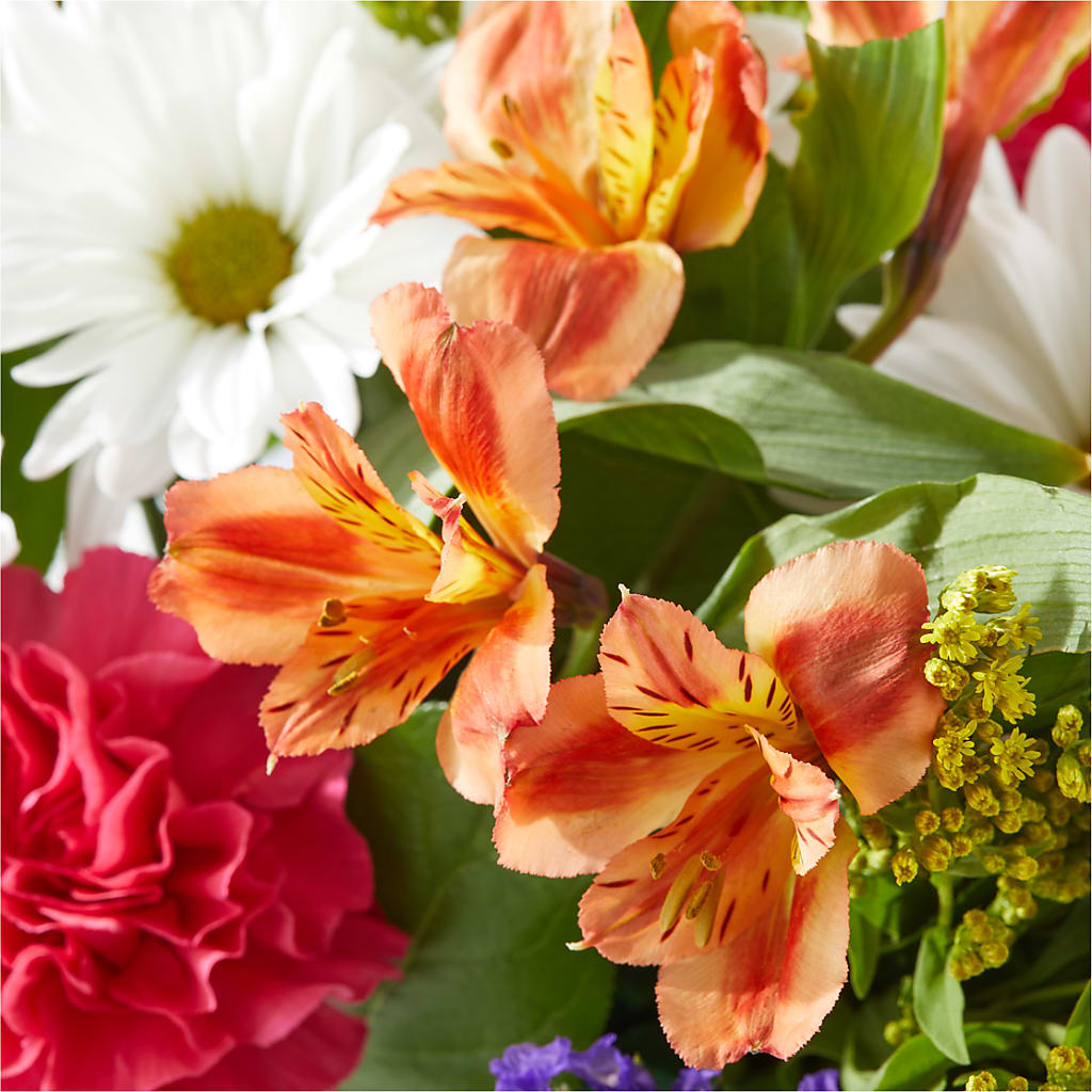 Oopsie Daisy Box Bouquet –  Rimmon Heights Florist, Manchester NH