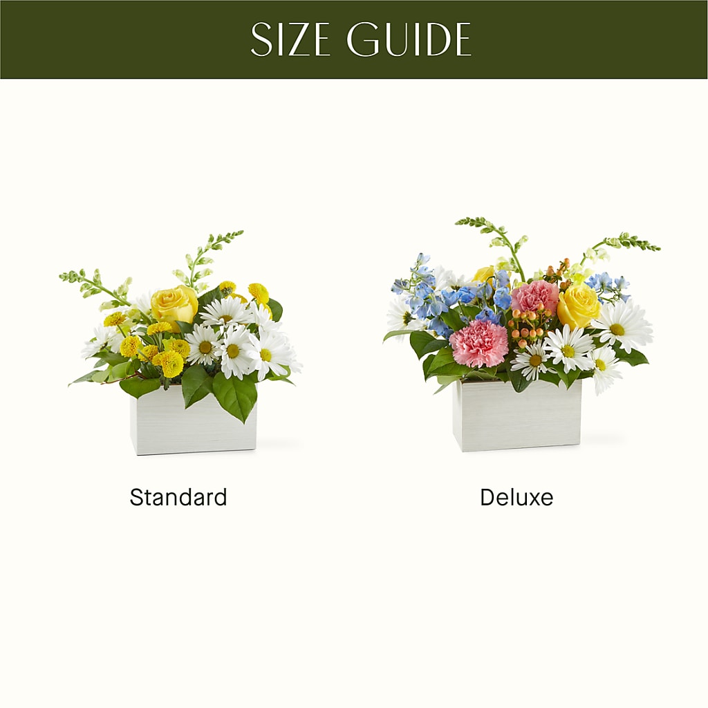 Sun Salutation Box Bouquet –  Rimmon Heights Florist, Manchester NH