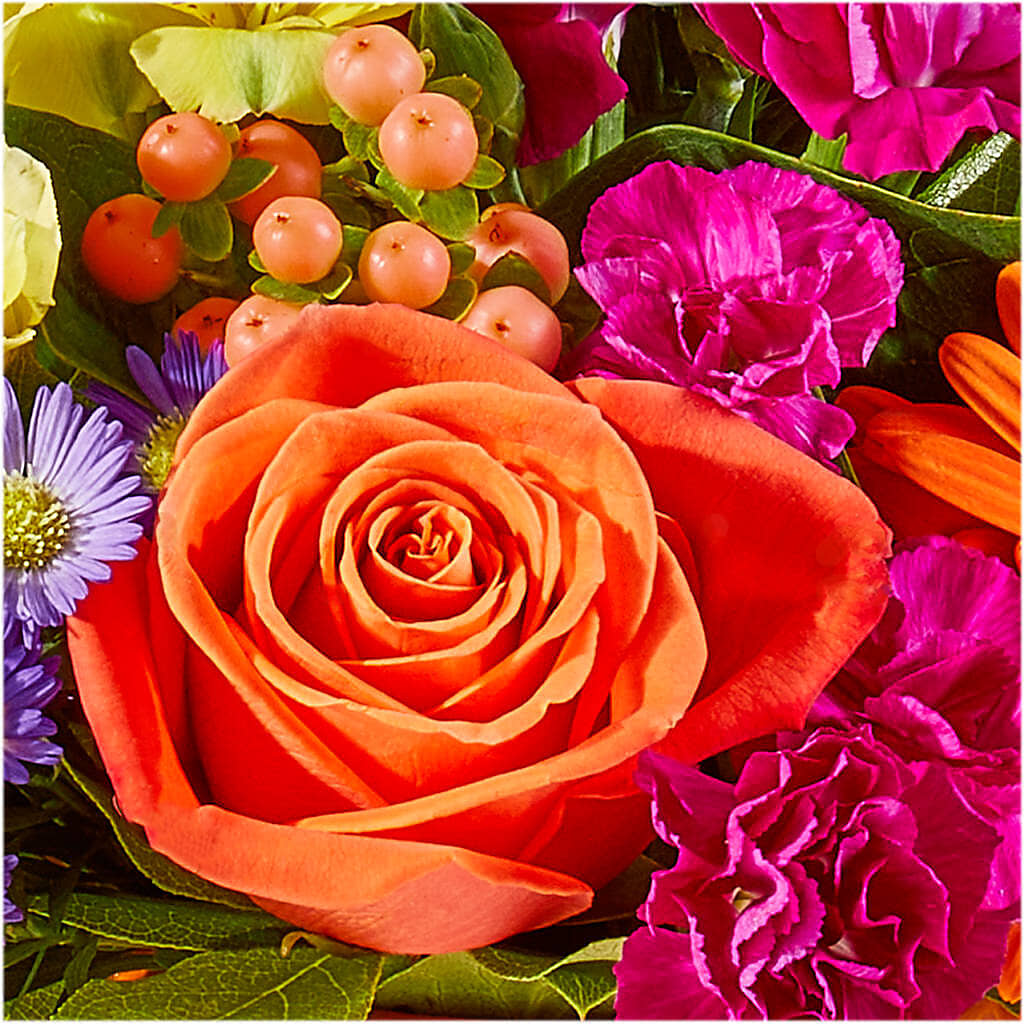 Tricks & Treats Pumpkin –  Rimmon Heights Florist, Manchester NH