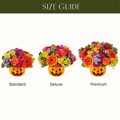 Tricks & Treats Pumpkin –  Rimmon Heights Florist, Manchester NH