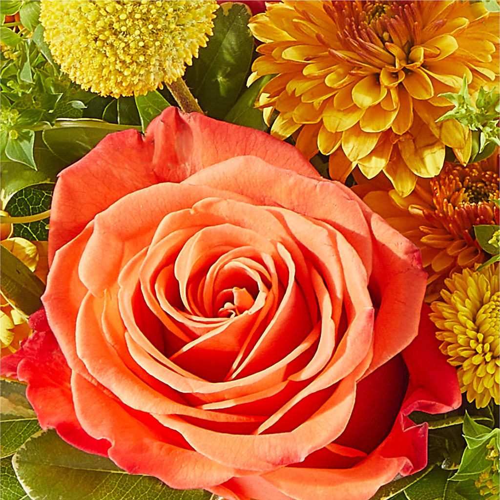 Gourdgeous Pumpkin –  Rimmon Heights Florist, Manchester NH