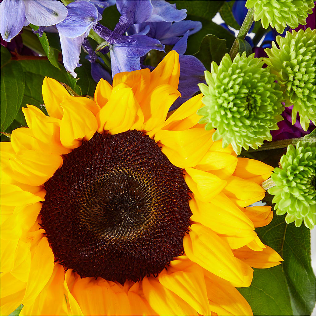 Catching Rays Bouquet –  Rimmon Heights Florist, Manchester NH