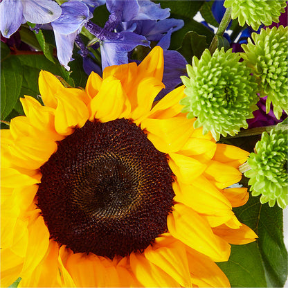 Catching Rays Bouquet –  Rimmon Heights Florist, Manchester NH