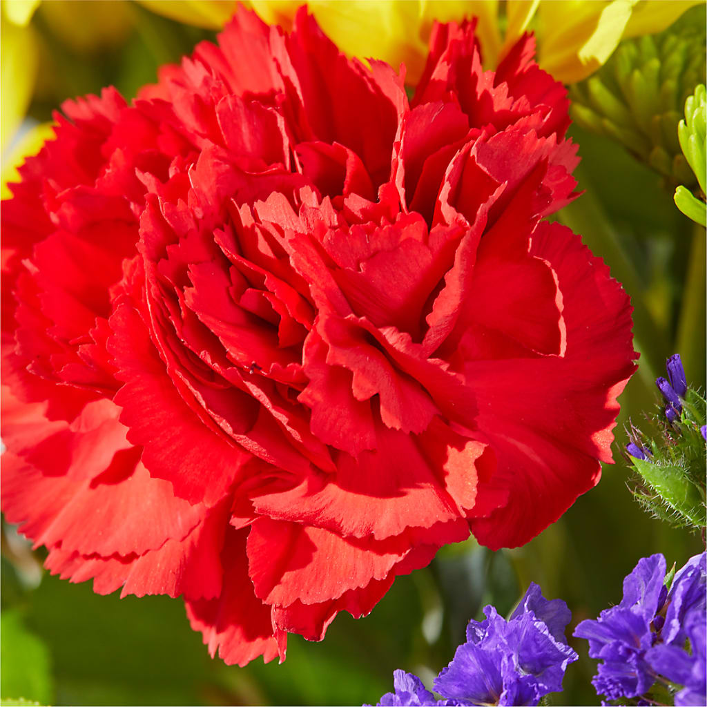 Brighter Days Bouquet –  Rimmon Heights Florist, Manchester NH