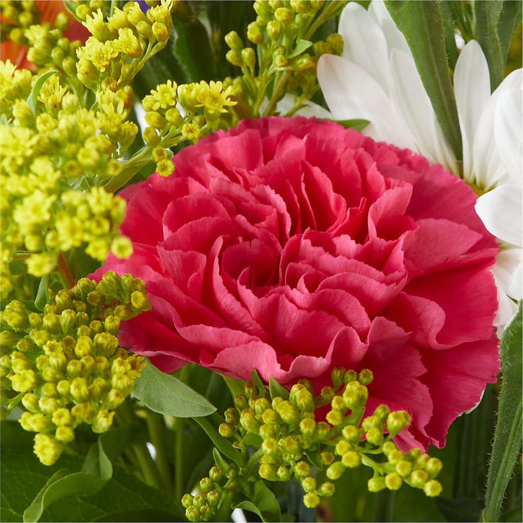 Oopsie Daisy Bouquet –  Rimmon Heights Florist, Manchester NH
