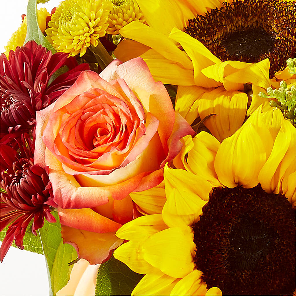 Golden Gourd Pumpkin Bouquet –  Rimmon Heights Florist, Manchester NH