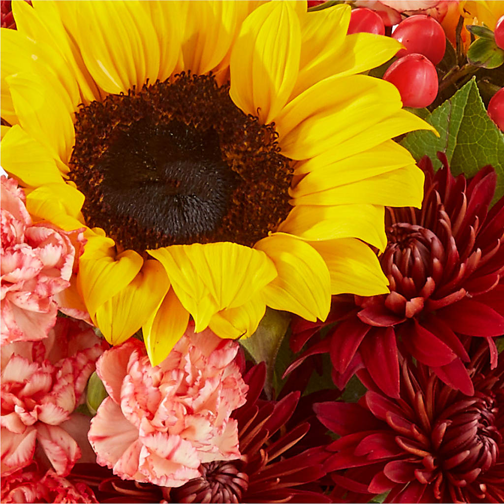 Fresh Cider Bouquet –  Rimmon Heights Florist, Manchester NH