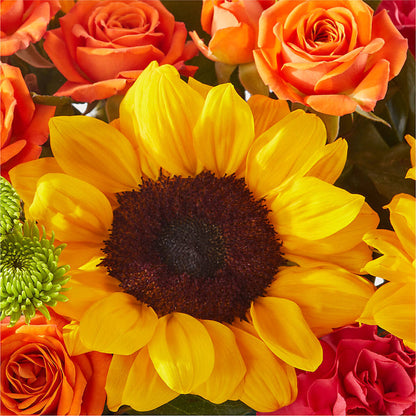 Sun-drenched Blooms Box Bouquet –  Rimmon Heights Florist, Manchester NH