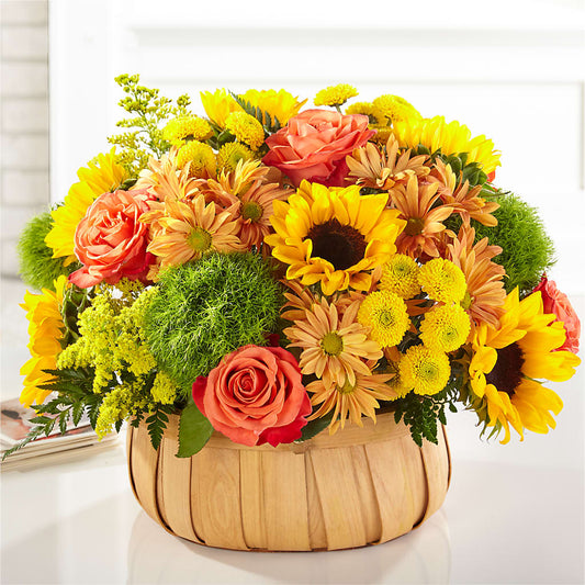 Harvest Sunflower Basket –  Rimmon Heights Florist, Manchester NH