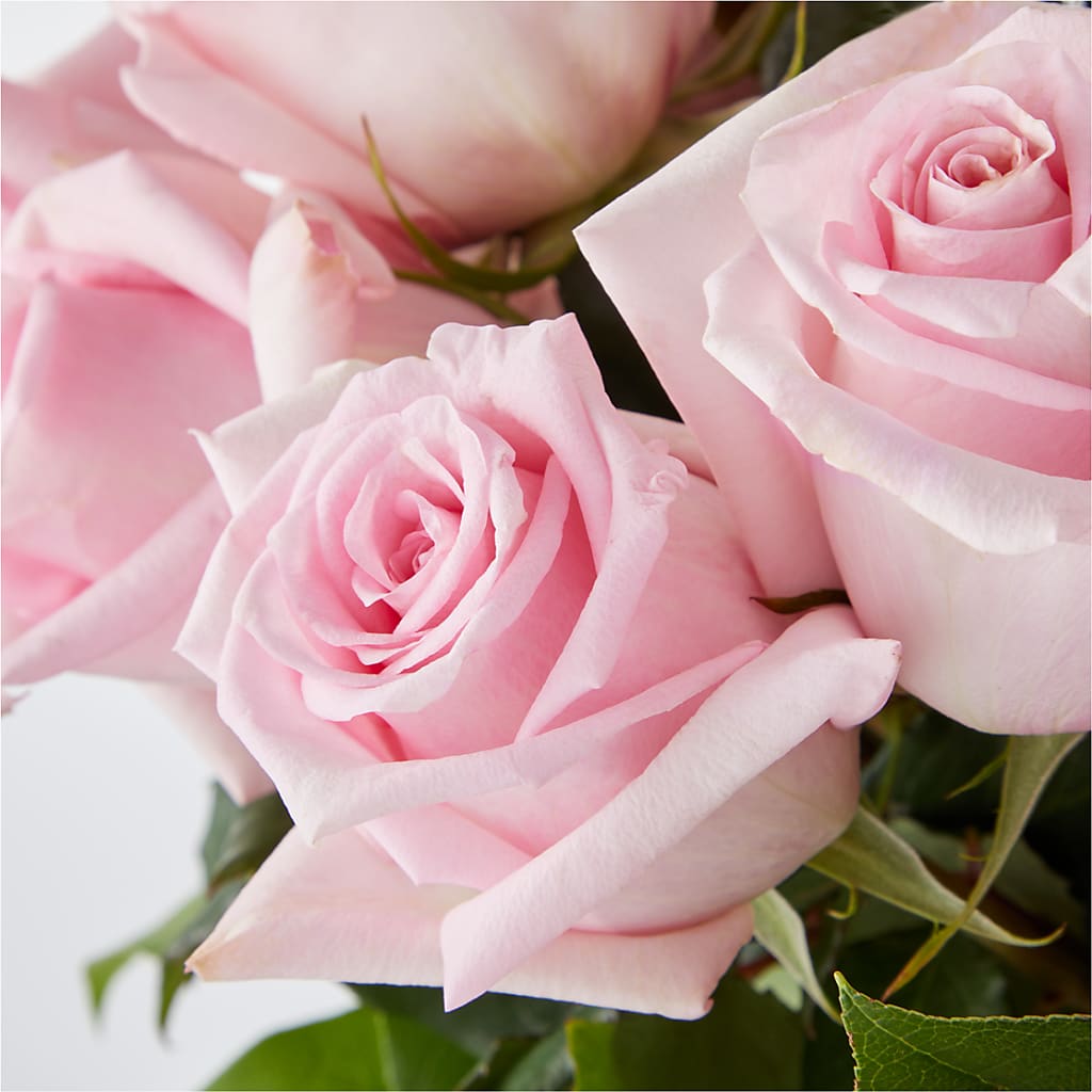Picture Perfect Pink Rose Bouquet –  Rimmon Heights Florist, Manchester NH
