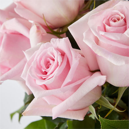 Picture Perfect Pink Rose Bouquet –  Rimmon Heights Florist, Manchester NH