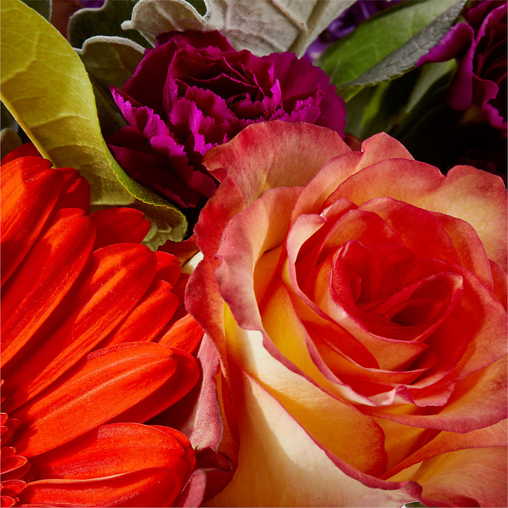 Sangria Bouquet –  Rimmon Heights Florist, Manchester NH