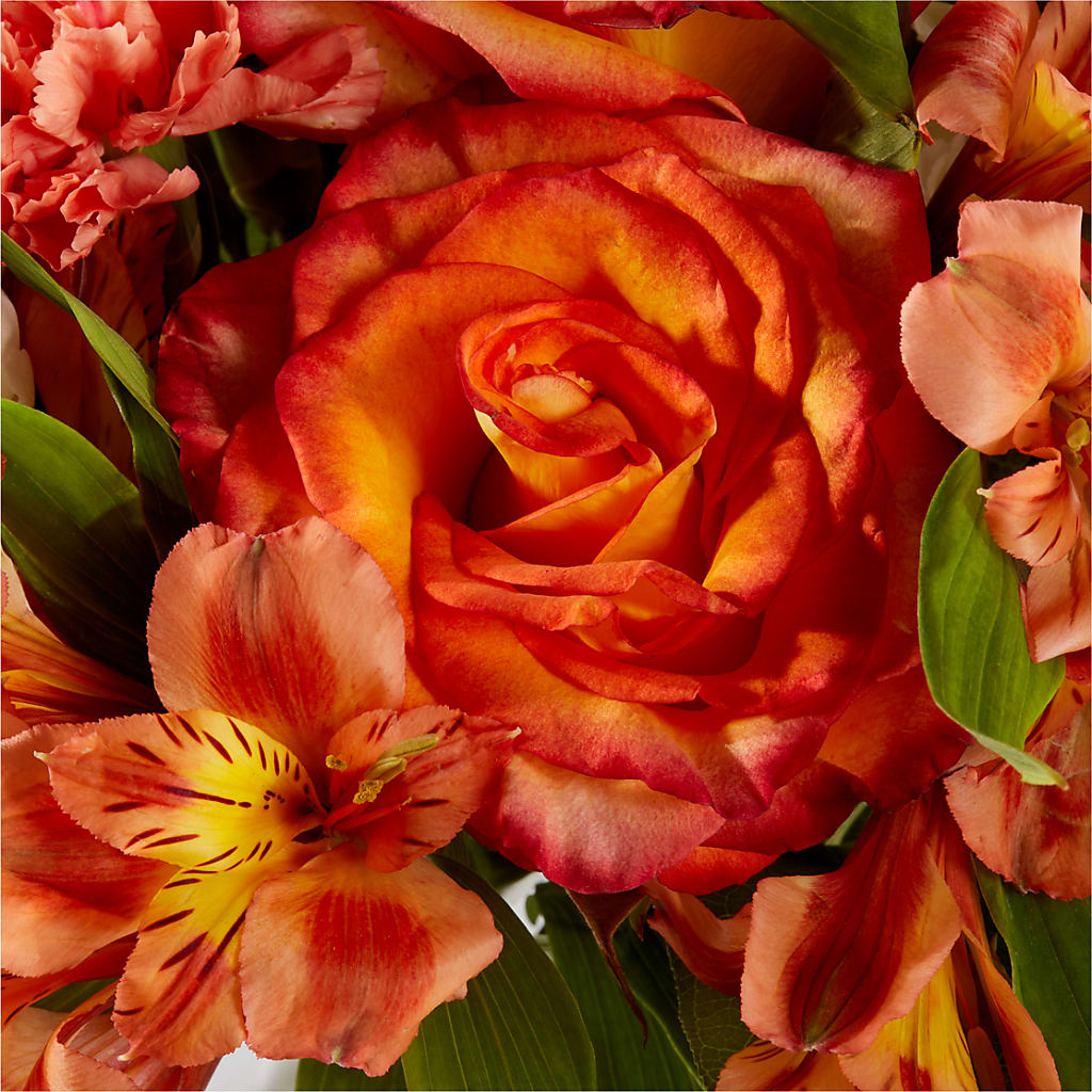 Apricot Glow Bouquet –  Rimmon Heights Florist, Manchester NH