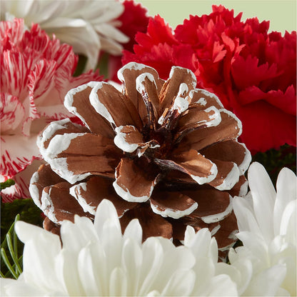 Candy Cane Lane Bouquet –  Rimmon Heights Florist, Manchester NH