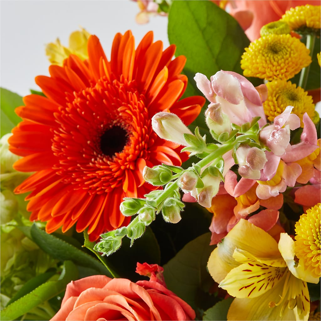 Autumn Sunshine Bouquet –  Rimmon Heights Florist, Manchester NH