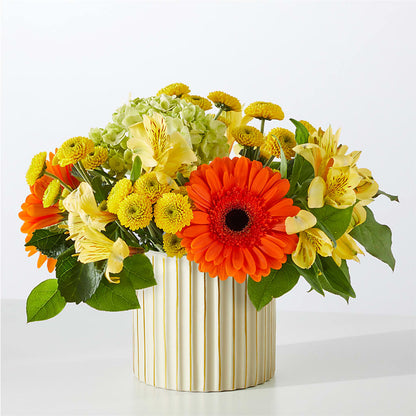 Autumn Sunshine Bouquet with Ivory Vase –  Rimmon Heights Florist, Manchester NH