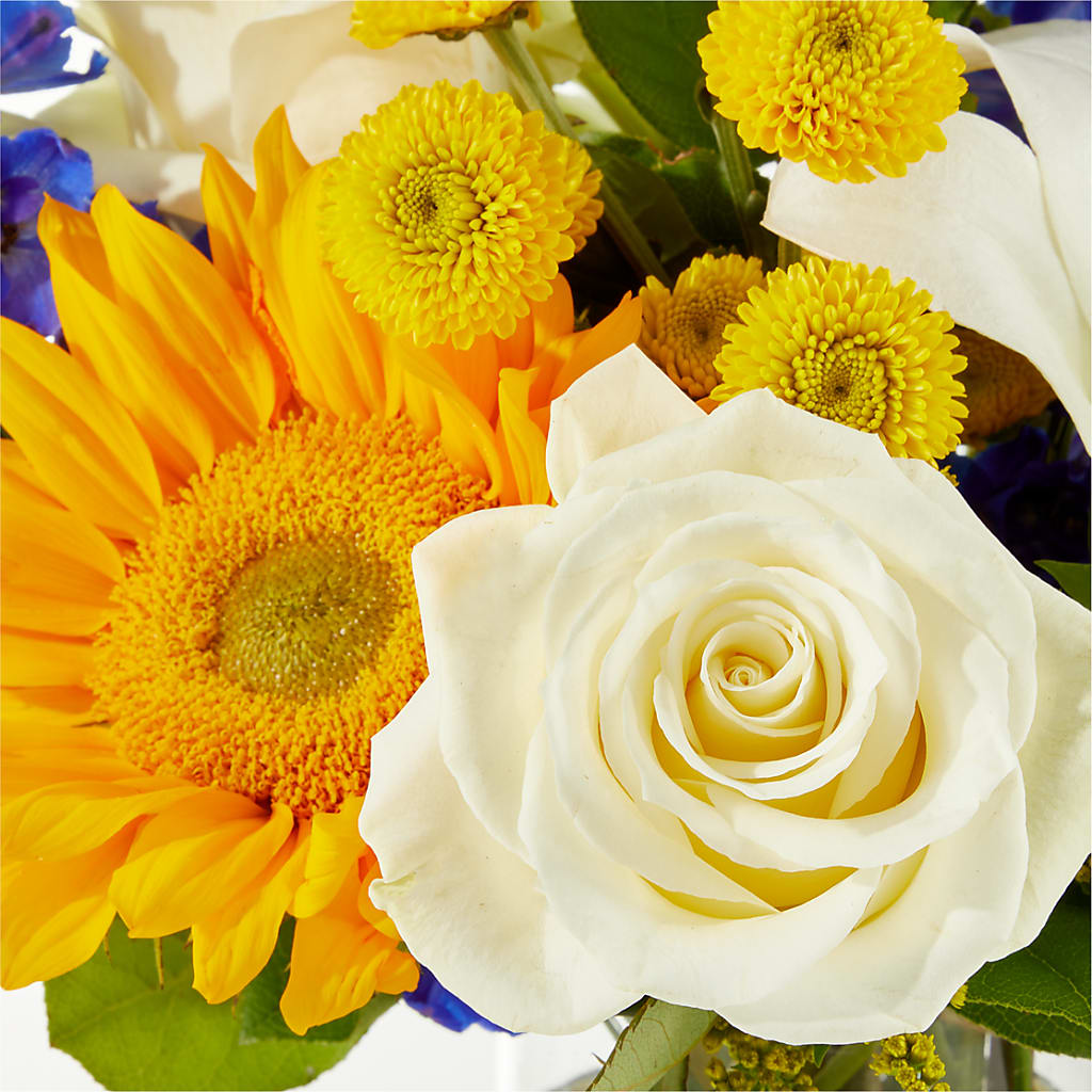 Stargazing Bouquet –  Rimmon Heights Florist, Manchester NH