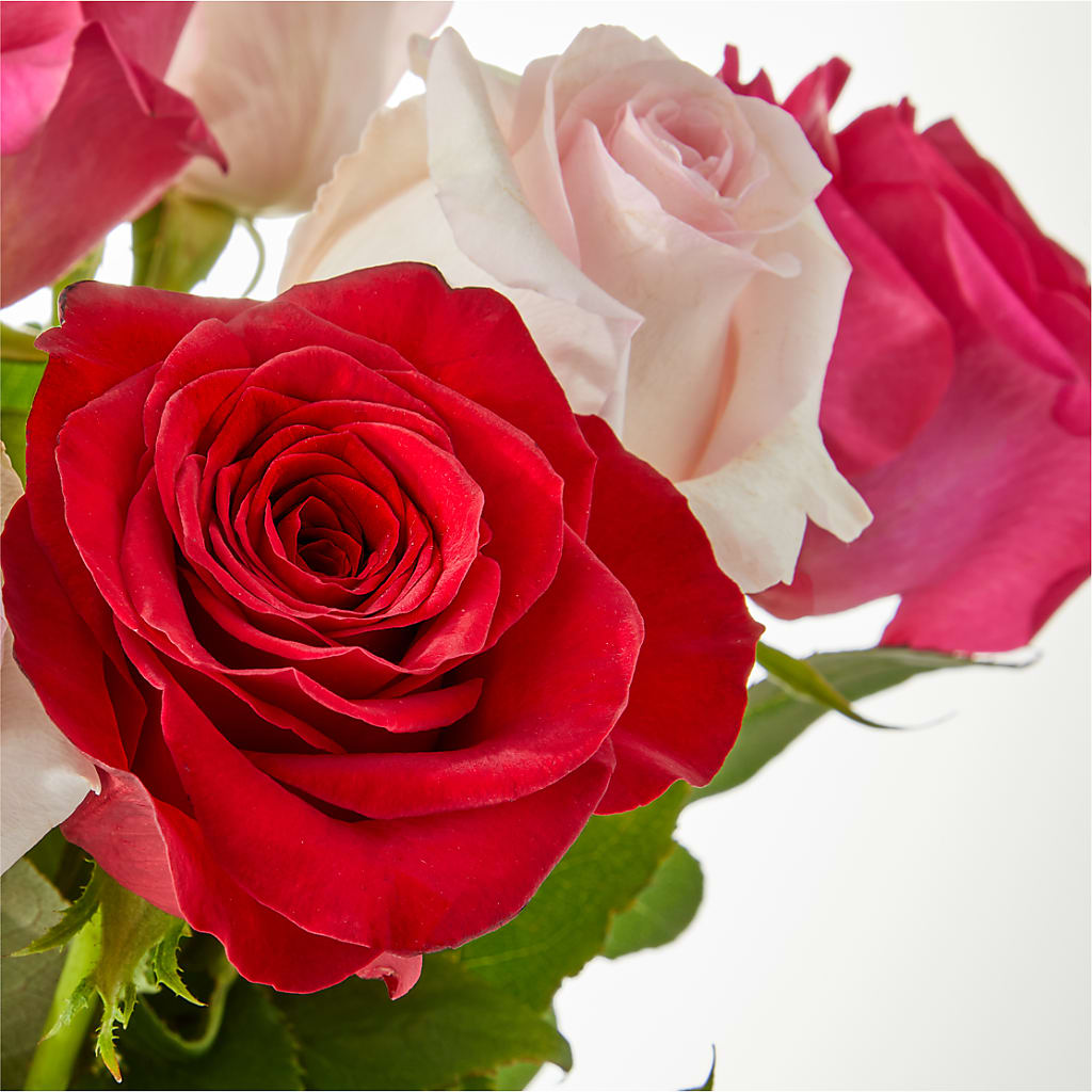 Charming Rose Bouquet –  Rimmon Heights Florist, Manchester NH