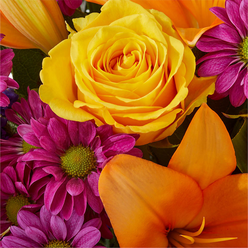 Colorful Visions Bouquet –  Rimmon Heights Florist, Manchester NH