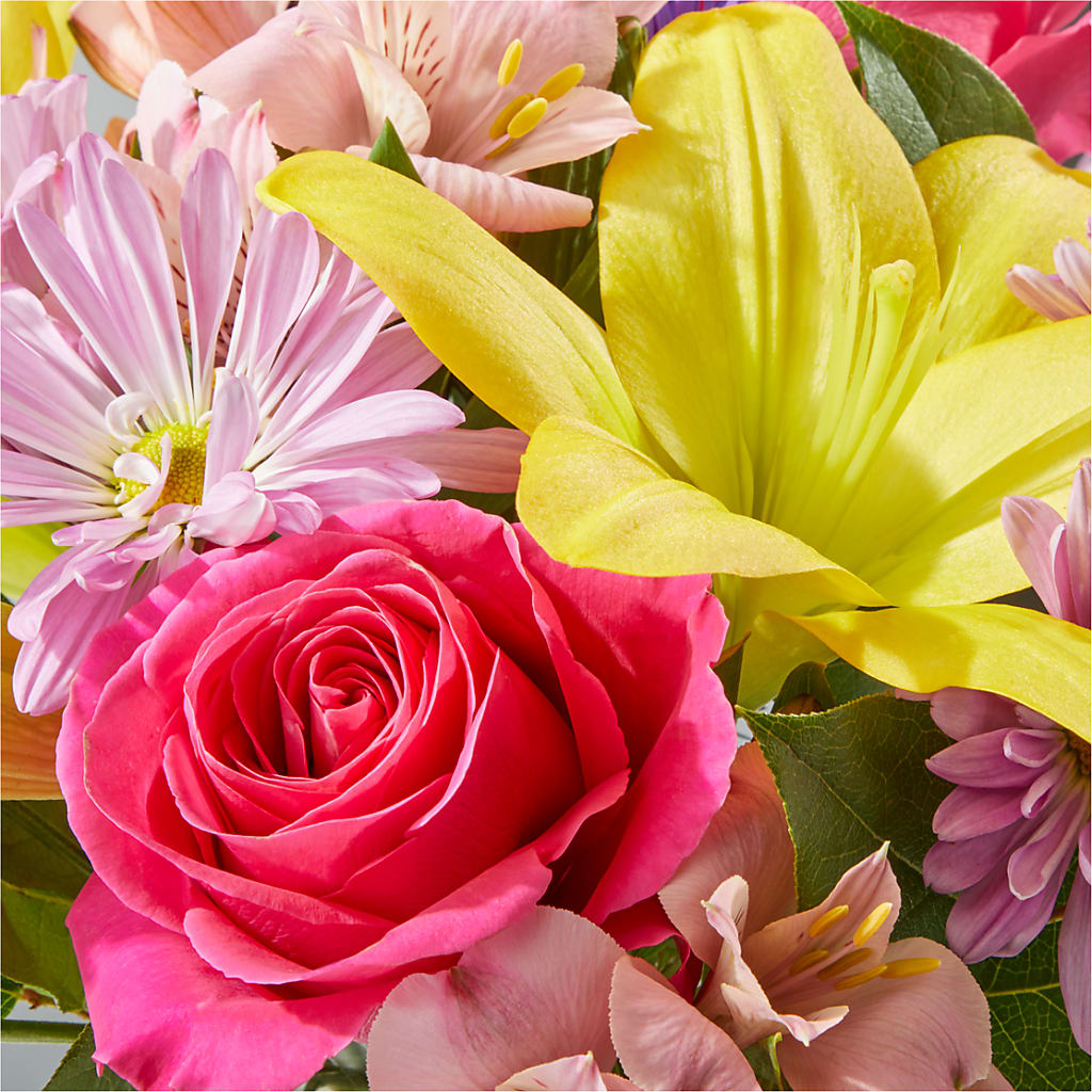 Sprinkles Bouquet –  Rimmon Heights Florist, Manchester NH