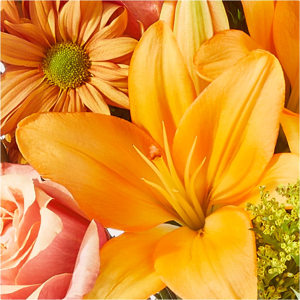 Harvest Hayride Bouquet –  Rimmon Heights Florist, Manchester NH